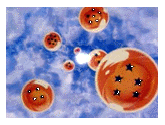 bsdragonballs.gif (15159 bytes)